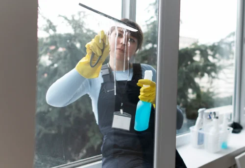 Nettoyage de vitres intérieures et extérieures à Montreuillon